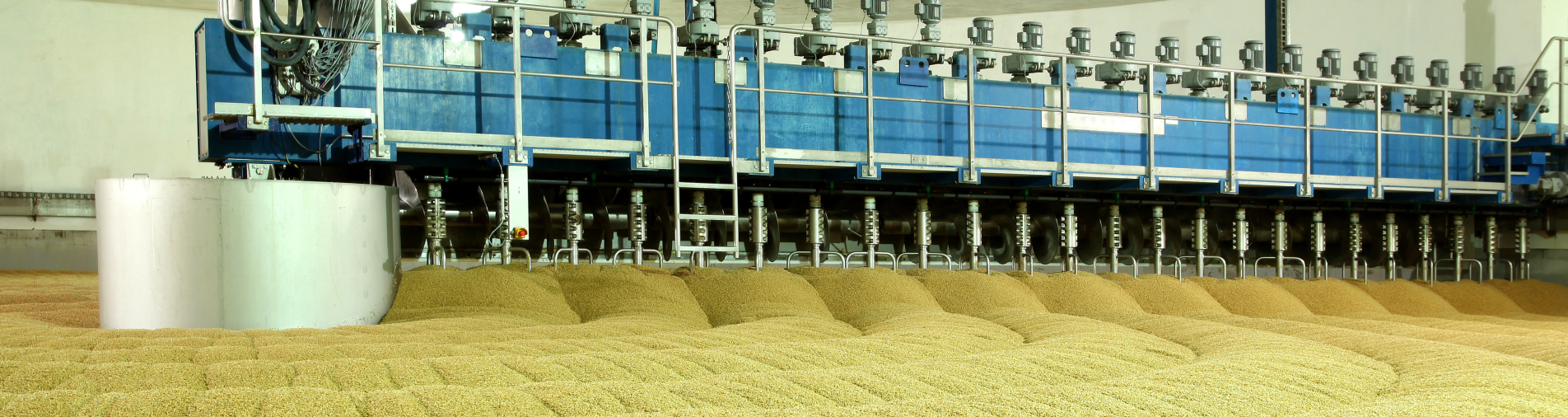 produkcja roślinna agrostrateg
