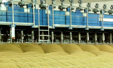 produkcja roślinna agrostrateg
